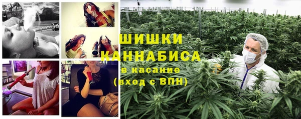 ПСИЛОЦИБИНОВЫЕ ГРИБЫ Алексин